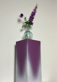 Top-Dye Paars