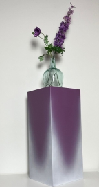 Top-Dye Paars