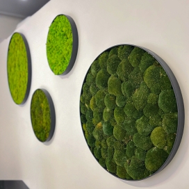 9108 - Moscirkel zwart  - MDF - Moscirkel zwart ø 400 mm (3)