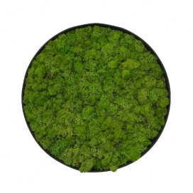 9108 - Moscirkel zwart  - MDF - Moscirkel zwart ø 400 mm (1)